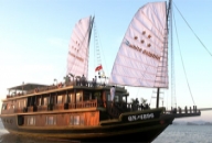 white-dolphin-cruise